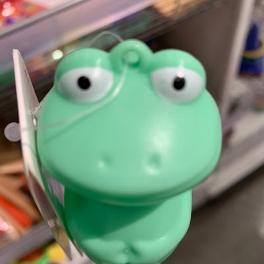 Meet your Posher, Abby